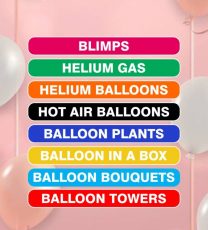 Balloon Types